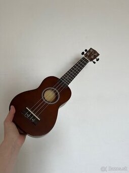 Ukulele s príslušenstvom