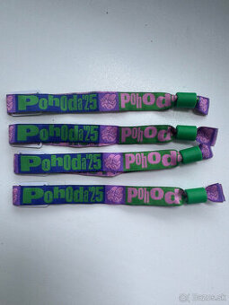 POHODA FESTIVAL PERMANENTKY