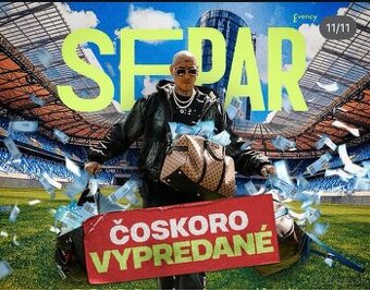 Separ lístok na Tehelné pole 1x sektor C státie