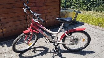 Dievčenský bicykel Engine Aligátor 20" kolesá