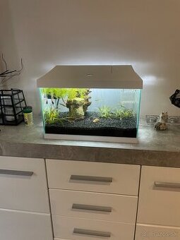 Zariadené akvárium + príslušenstvo - 1