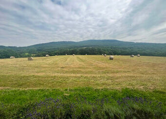 Predám pozemky na samote - 1