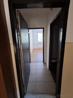 Predam velký 1 - izbový byt s balkónom a sklepom