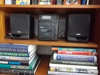 FW Micro System