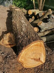 Čerešňa drevo - guľatina