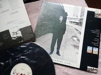 Lp platne