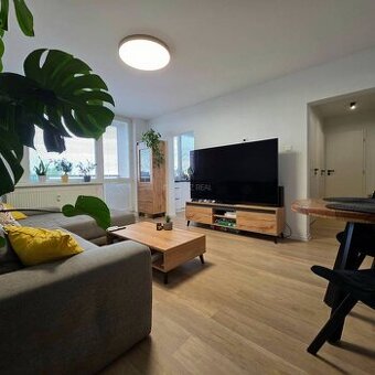 3i, OV, 54m2 + 6m loggia, Západ/ Terasa, po rekonštrukcii, z