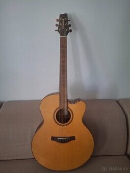 Elektroakusticka Gitara Pasadena J111CE