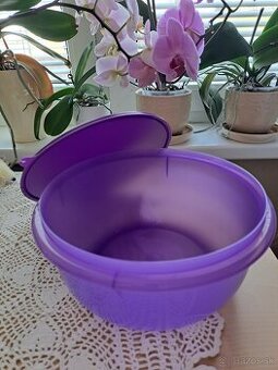 Tupperware miska kyska