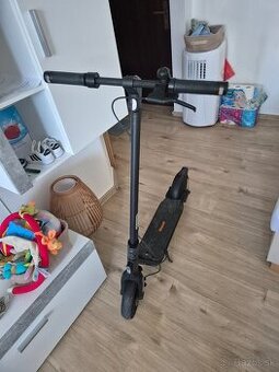Ninebot kickscooter f2 by segway