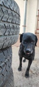 205/65 r16c zimné 4ks
