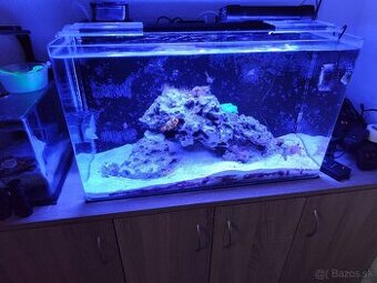 Morské akvárium Blau All in One Marine – 80 l (Black)