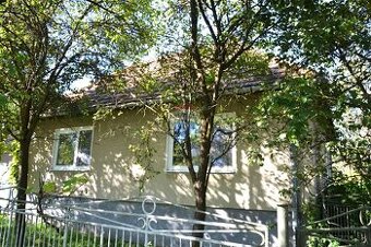 Na predaj dom s veľkým ovocným sadom v obci Uhorské - 1