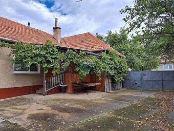 Na predaj dom s veľkým ovocným sadom v obci Uhorské