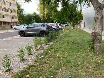 Parkovacie miesto v Piešťanoch