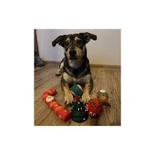 Kúpim staré plyšové hračky