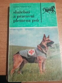 Služební a pracovní plemena psů
