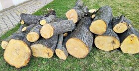 Lipové drevo