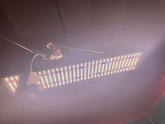 Pestovateľské svetlo 240w