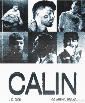 Lístok na koncert Calina