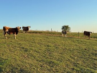 Mám záujem o pôdu