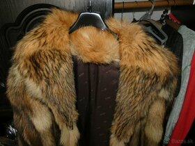 Pravý Kabát z mongolského psa