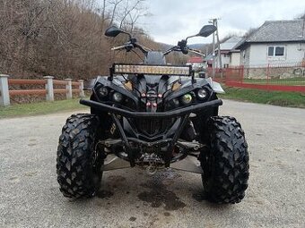 Cam am renegade 800