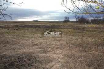 HALO reality - REZERVOVANÉ (prihláste sa na čakaciu listinu)