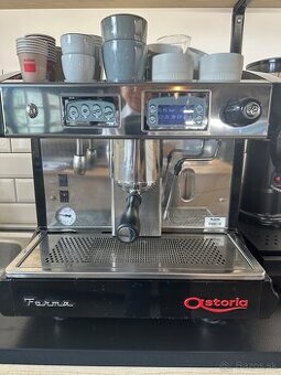 Profesionálny pákový kávovar