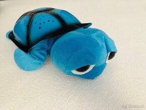 Svietiaca korytnačka