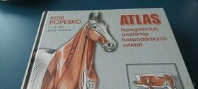 P.POPESKO: Atlas topografickej anatomie hosp.zvierat 1.-3.di