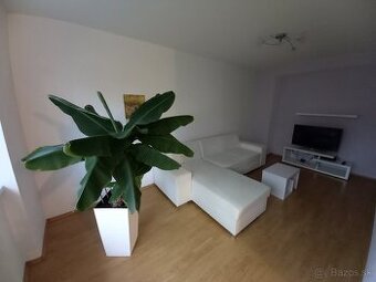 PRENÁJOM 2-izbový byt, Spišská Nová Ves, Sadová 1, pri OC Ma
