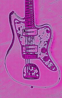 USA 2018 Fender American Original '60s Jazzmaster AVRI