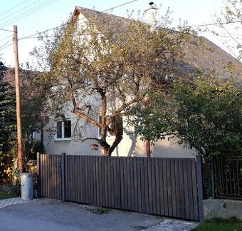 Stará krídlována brána a bránka