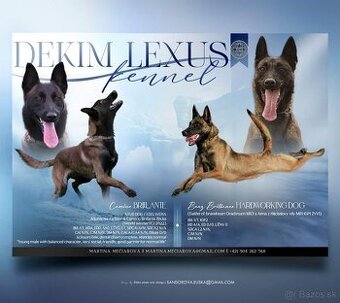 Belgicky ovčiak s PP