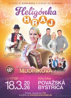 Vstupenka na Vlastu Mudríkovú