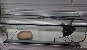 Predám terárium 100x40x40