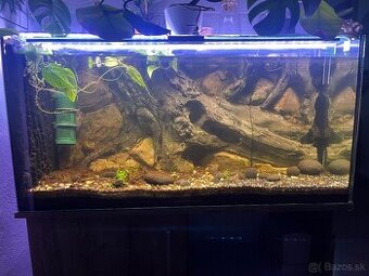 Akvarium 200l - 1