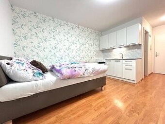 ASSENZIO-PREDAJ-GARSÓNKA-20m2-GUOTHOVA- KRAMÁRE