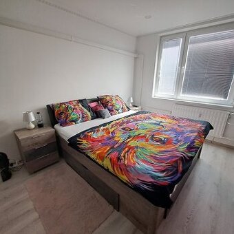 Prenájom 2i byt max 2 osoby centrum mesta Holíč