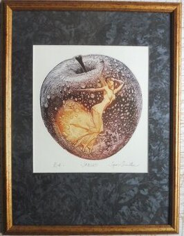 Igor Piačka / Jablko - 1