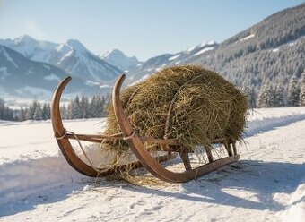 Unikátna Historická Krása: Staré Sánky Krnačky