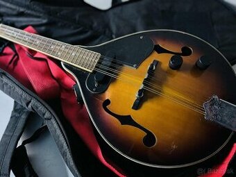 Mandolína elektrická