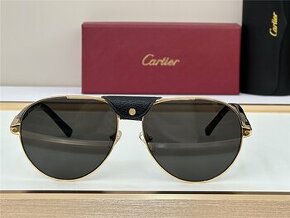 Cartier - Santos De Cartier , rôzne druhy