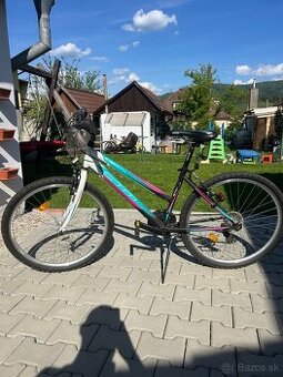 Damsky bicykel - 1