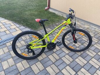 Kellys Kiter 50