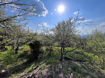 nadherna zahrada HERINGEŠ