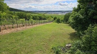 Predaj záhrady 899 m2, k.ú. Dražovce, Hrabová ulica, obec Ni