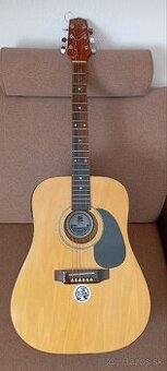 Elektro akustická gitara Bull