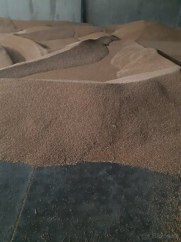 Pšenica na predaj + výmena